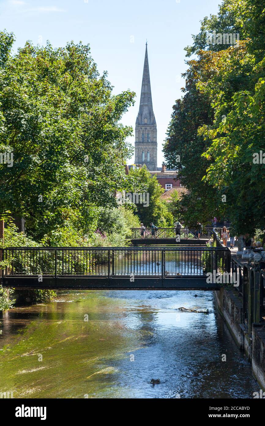 Ein Blick auf Salisbury Cathedral Turm mit dem Fluss Avon im Vordergrund von den Maltings, Salisbury, Wiltshire, England Stockfoto