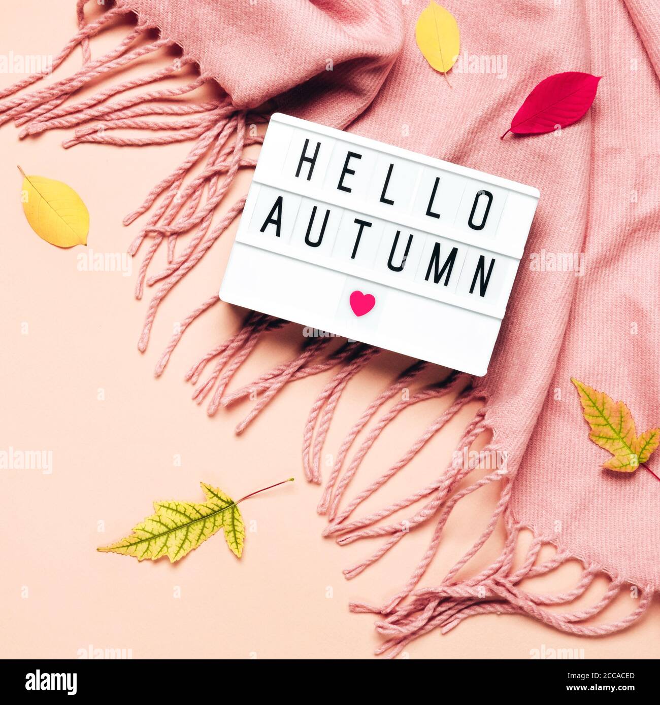 Lightbox mit Hello Autumn Text, kuscheligem Schal und Blättern auf pastellfarbenem Hintergrund. Stockfoto