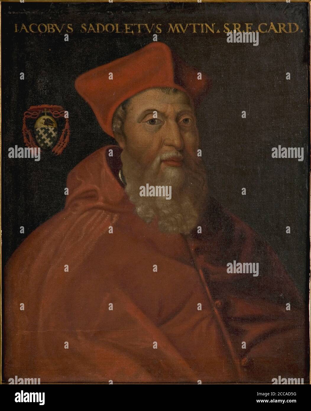 Porträt von Kardinal Jacopo Sadoleto (1477-1547). Museum: PRIVATE SAMMLUNG. Autor: Cristofano Dell'Altissimo. Stockfoto