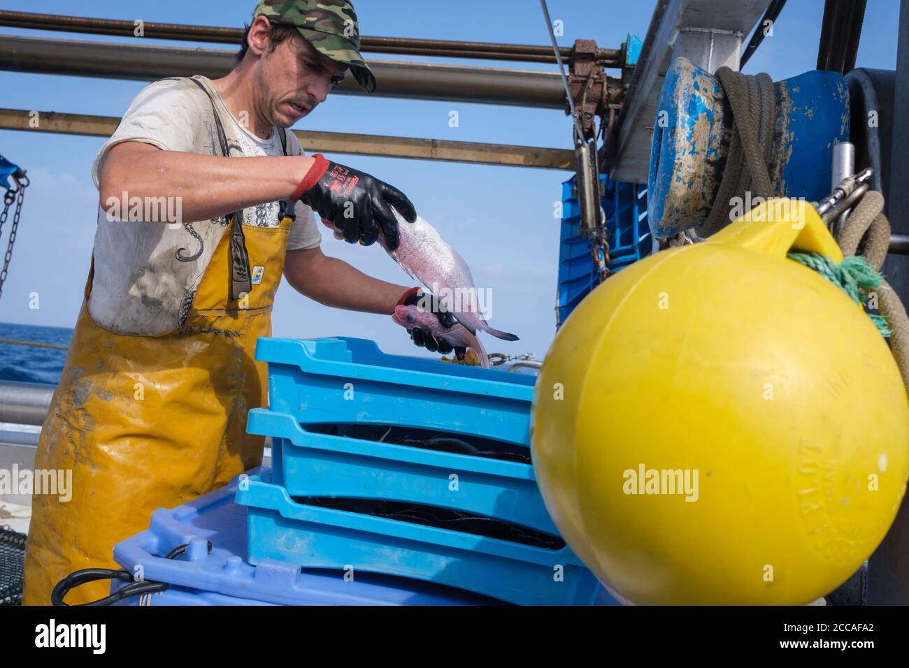 Ein Fischer sortiert den frisch gefangenen Fisch auf einem Trawler. Costa Brava. Katalonien. Spanien. Stockfoto