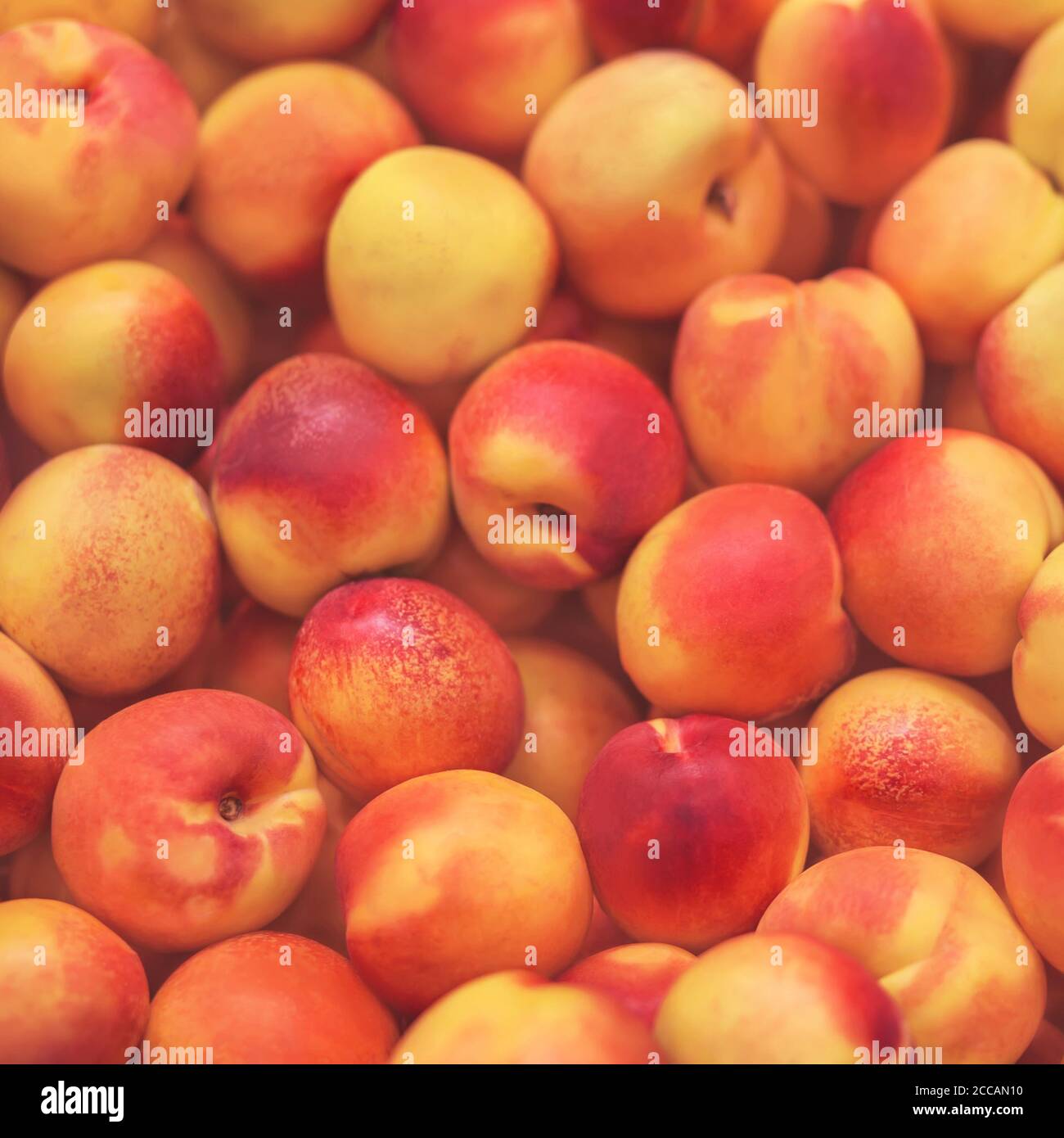 Zarte reife duftende Nektarinen liegen im Supermarkt, bereit zum Kauf. Hintergrund der Frucht. Gute Ernte. Stockfoto