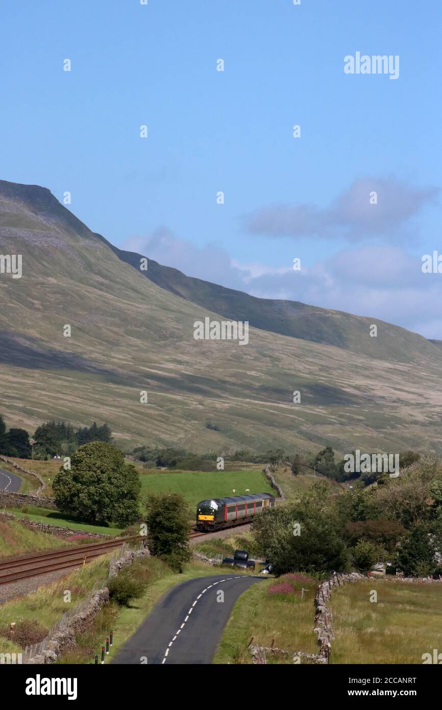 North Pennine Staycation Express Sonderzug, Settle to Carlisle Bahnlinie, 20. August 2020, Klasse 37 Lok D6817 mit Wildschwein im Hintergrund. Stockfoto