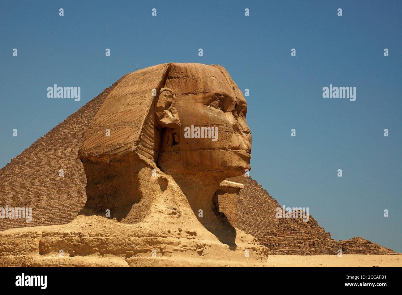 Große Sphinx von Gizeh in Kairo, Ägypten, an einem sonnigen Sommertag Stockfoto