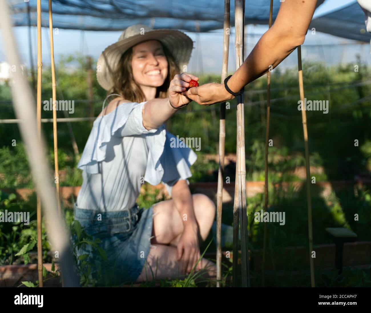 Junge Bäuerin lächelt beim Sammeln der Organizprodukte aus Ihr Garten Stockfoto