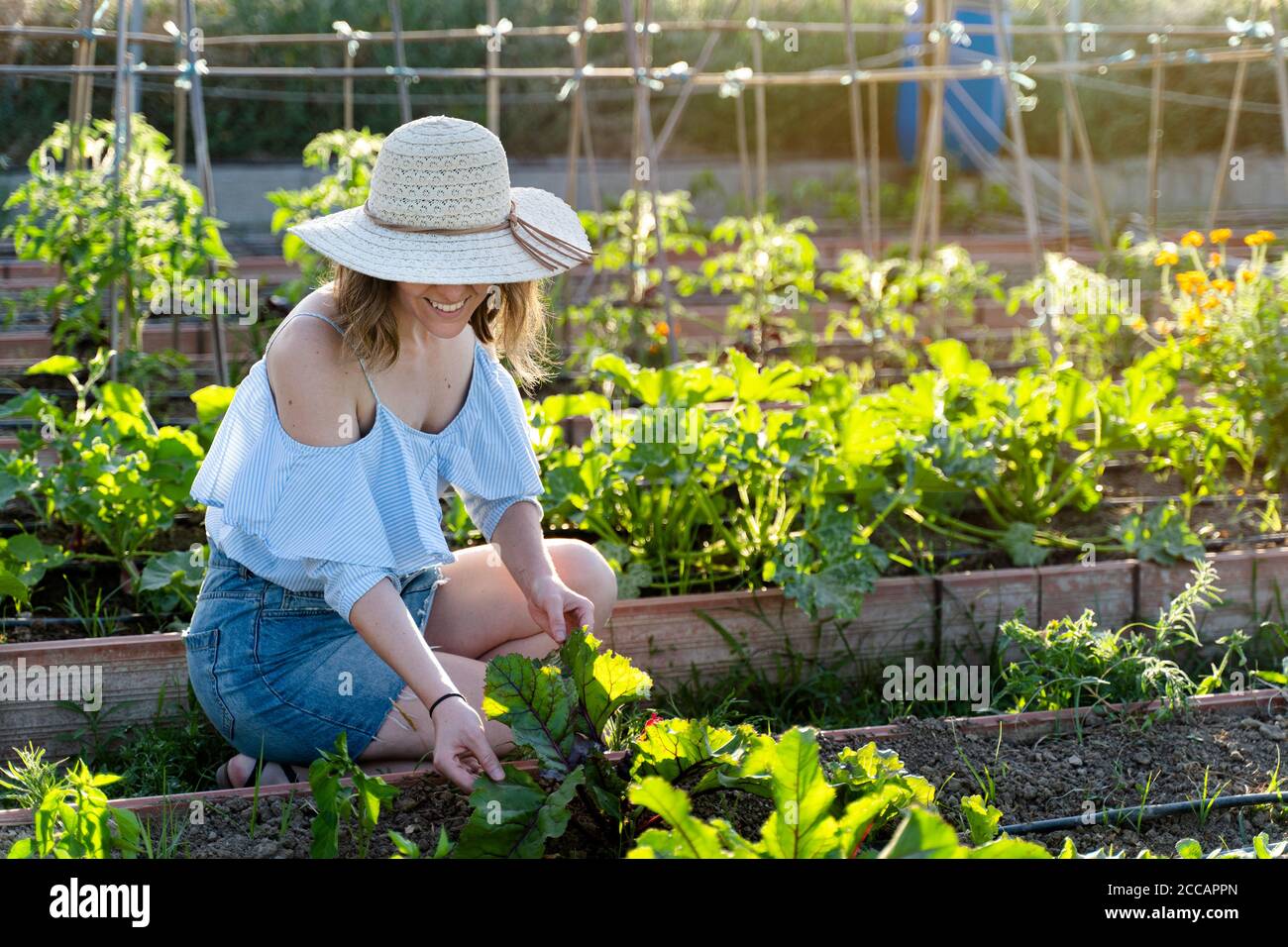 Junge Bäuerin Frau mit Hut und lässig gekleidet arbeiten in Ihr organischer Garten Stockfoto