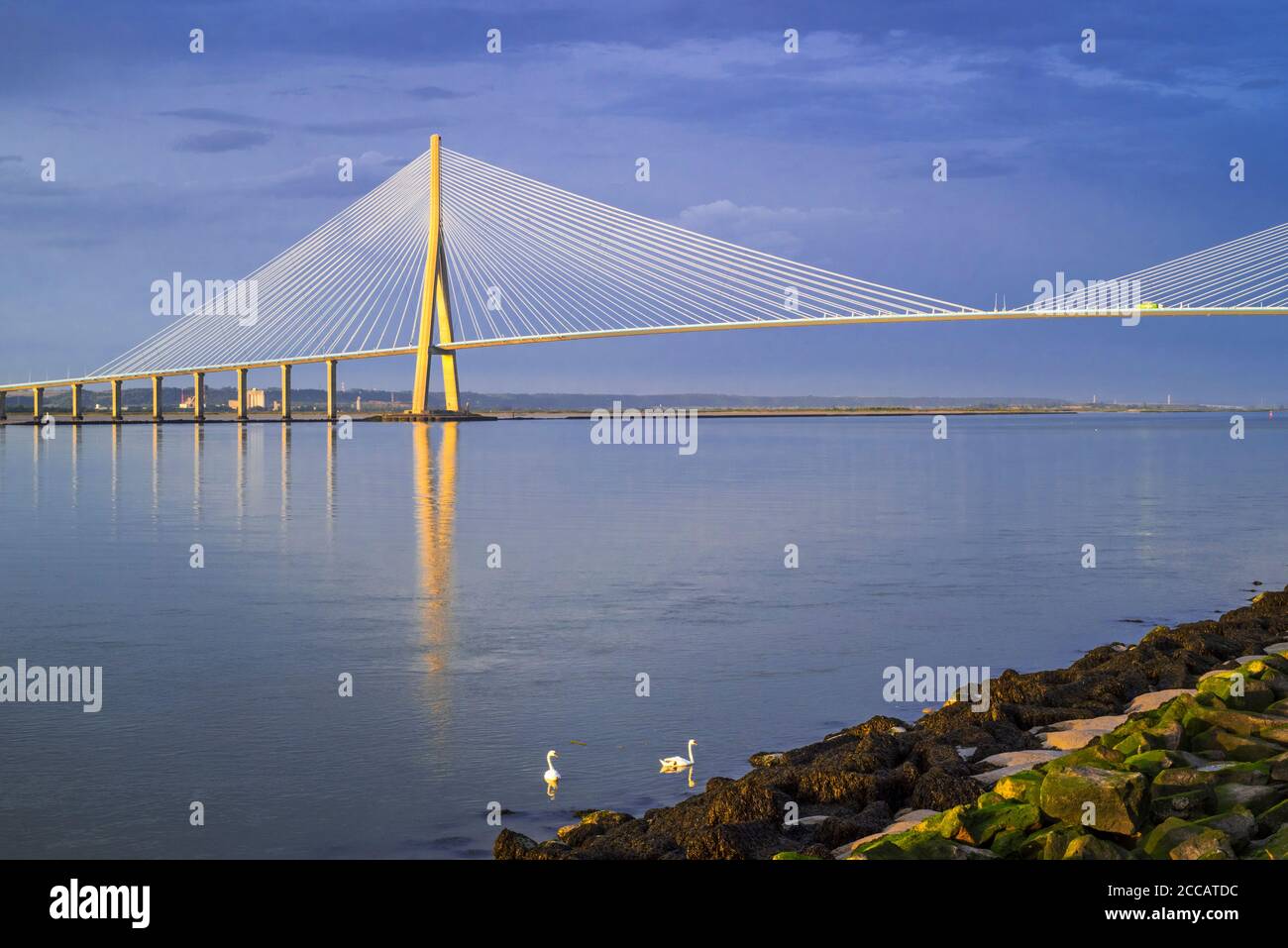 Pont de Normandie / Brücke der Normandie, Seilbahnbrücke über die seine, die Le Havre mit Honfleur, Normandie, Frankreich verbindet Stockfoto