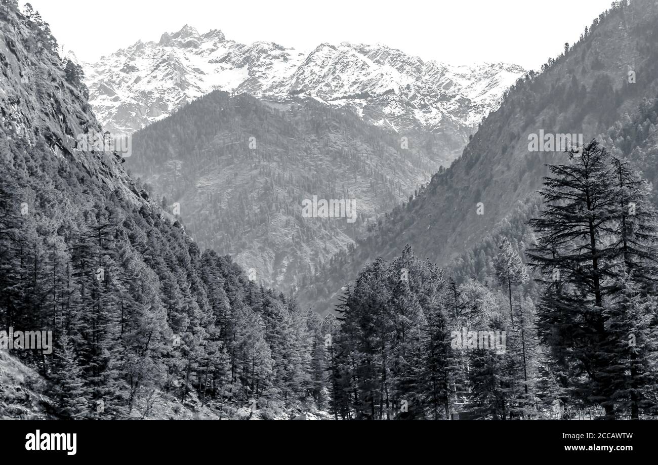 Kasol Manali - der glühende Parvati-Fluss in den Schneebirgen von Himachal Pradesh, Indien. Flusswasser rauscht im Tal der Götter. Himachal Pradesh. Stockfoto