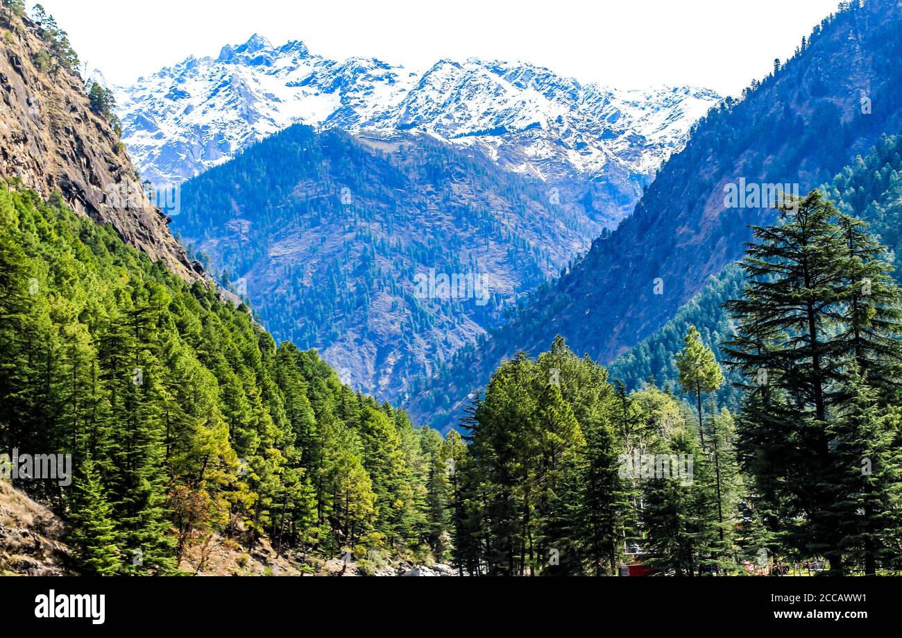 Kasol Manali - der glühende Parvati-Fluss in den Schneebirgen von Himachal Pradesh, Indien. Flusswasser rauscht im Tal der Götter. Himachal Pradesh. Stockfoto