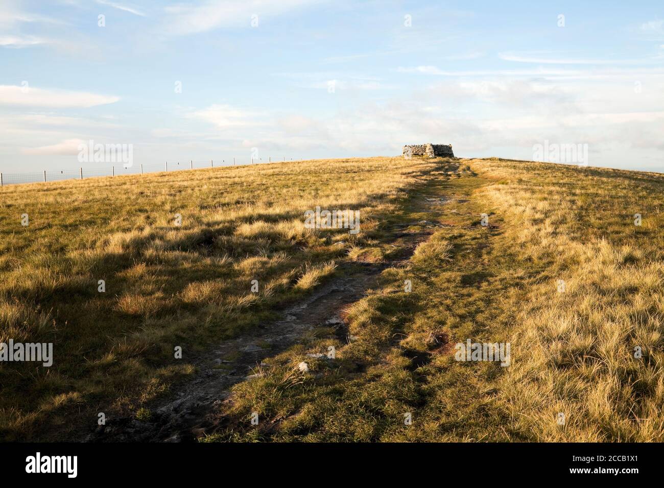 Der Pennine Way, der zum Gipfel des Great Shunner Fell führt, Yorkshire Dales, Großbritannien Stockfoto