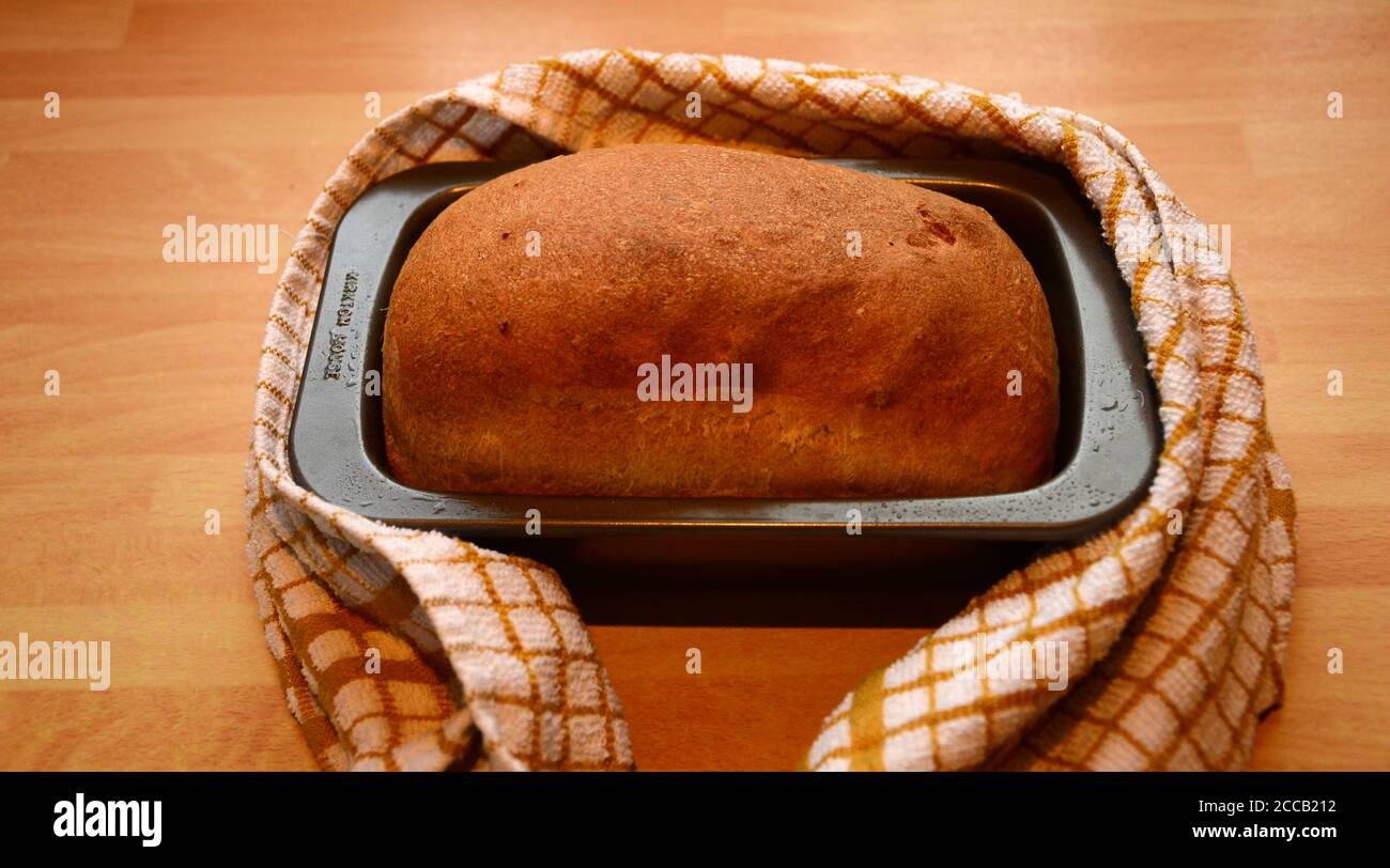 Hausgemachter Laib, frisches glutenfreies Brot Stockfoto