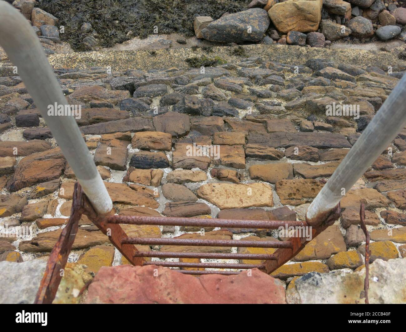 Abstraktes Bild, das durch die Sprossen einer Metallleiter entlang der steinernen Hafenmauer in Crail, Fife, hinunterblickt. Stockfoto