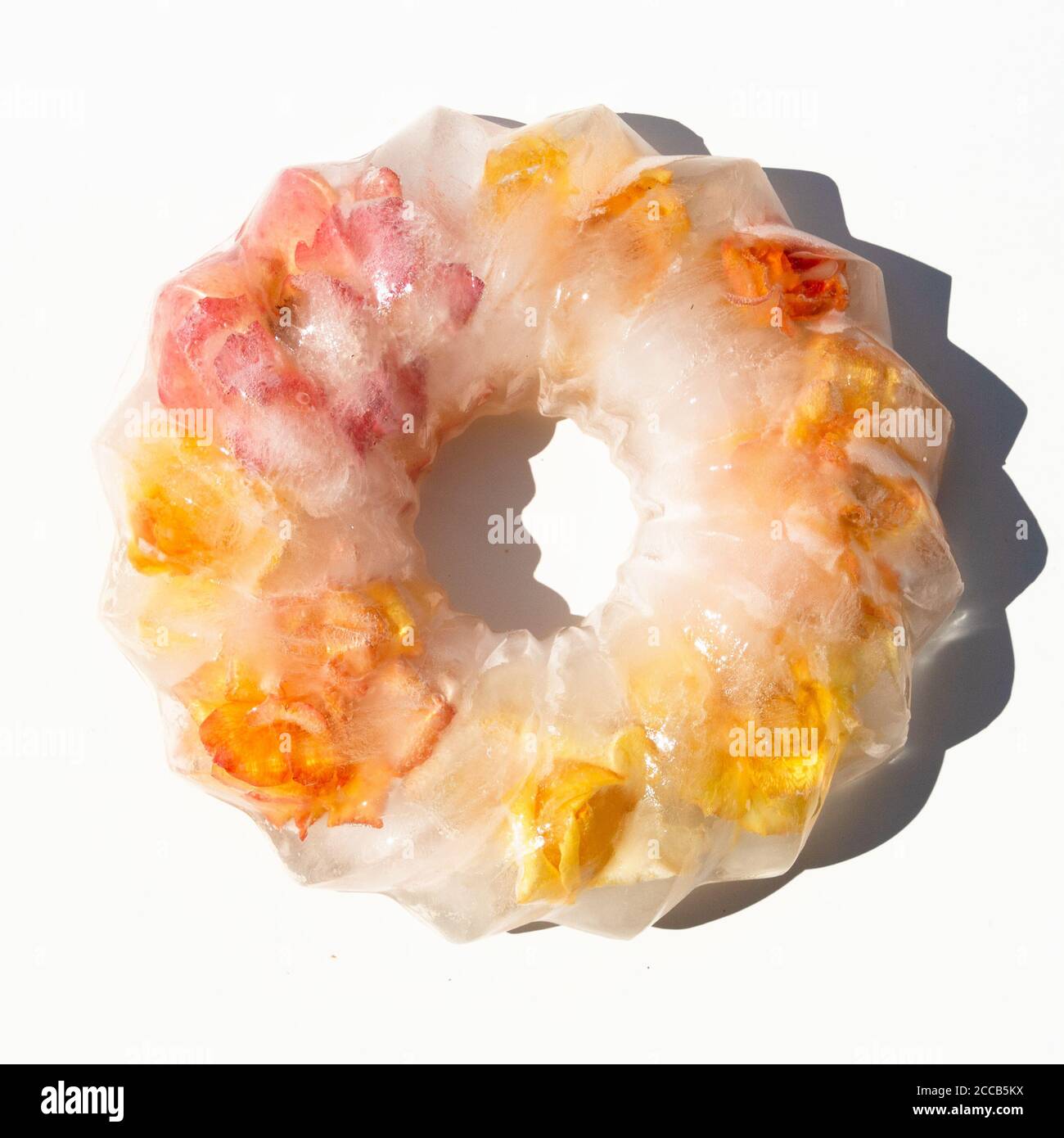 Gefrorene Blumen in einem Block von Eis Form Kuchen gefangen. Rosen im Eis. Stockfoto