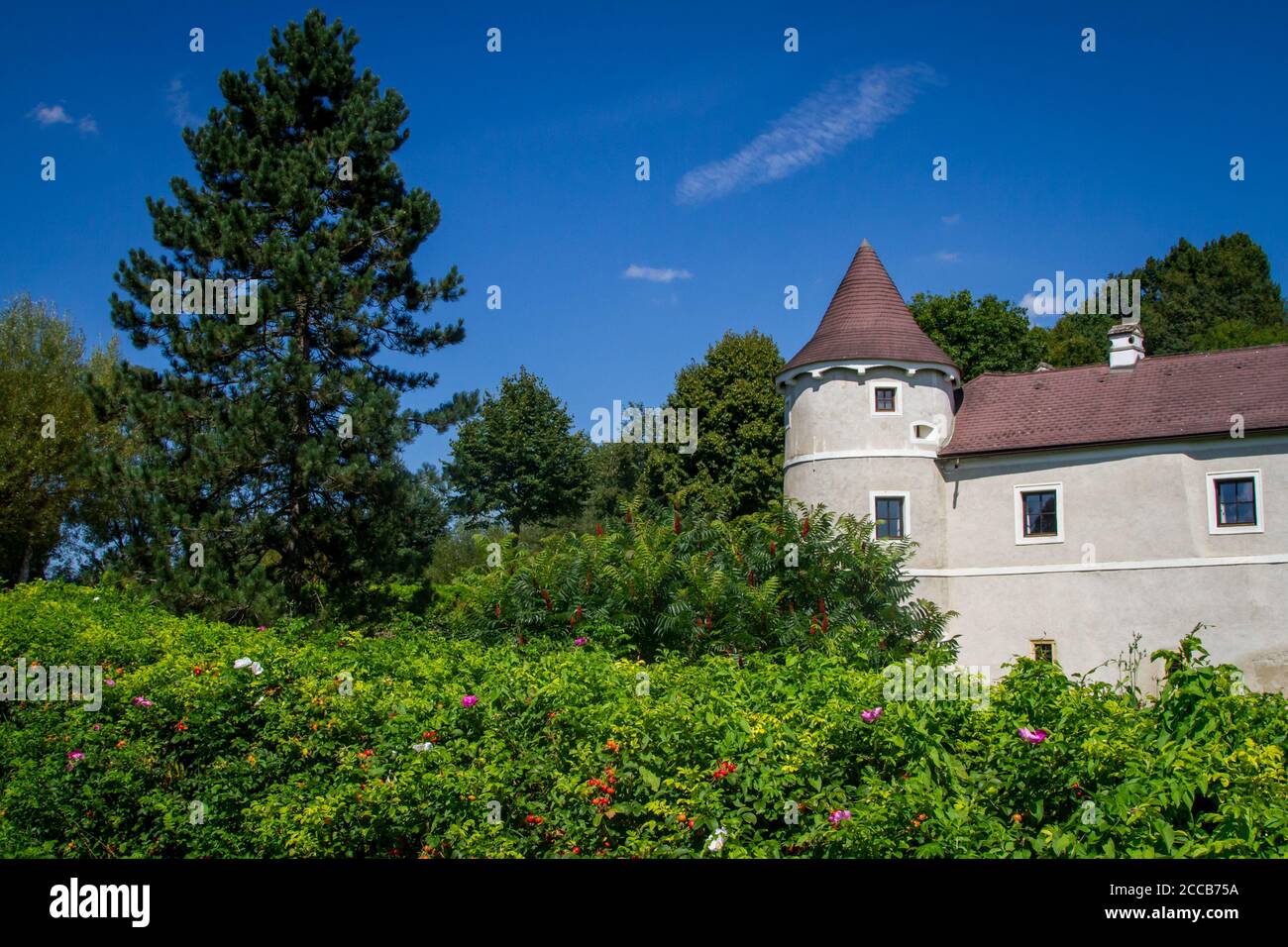 Schloss Waldrichs, Kamptal-Seenweg 620, Wandern bei Dobra Stausee, Waldviertel, Österreich Stockfoto