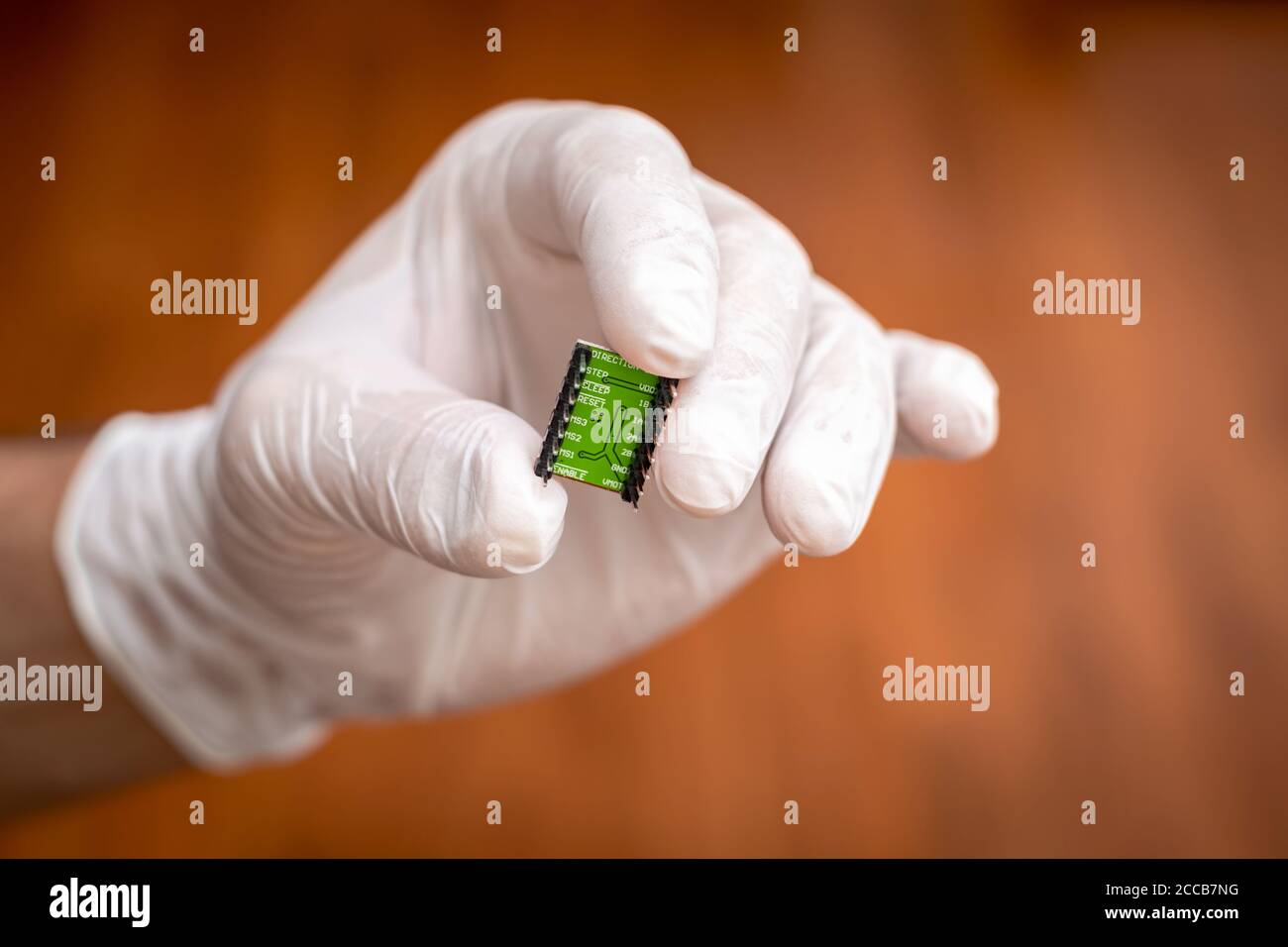 Mann hält einen grünen Mikrochip mit Einweghandschuhen, Hände nur. Extreme Nahaufnahme. Stockfoto