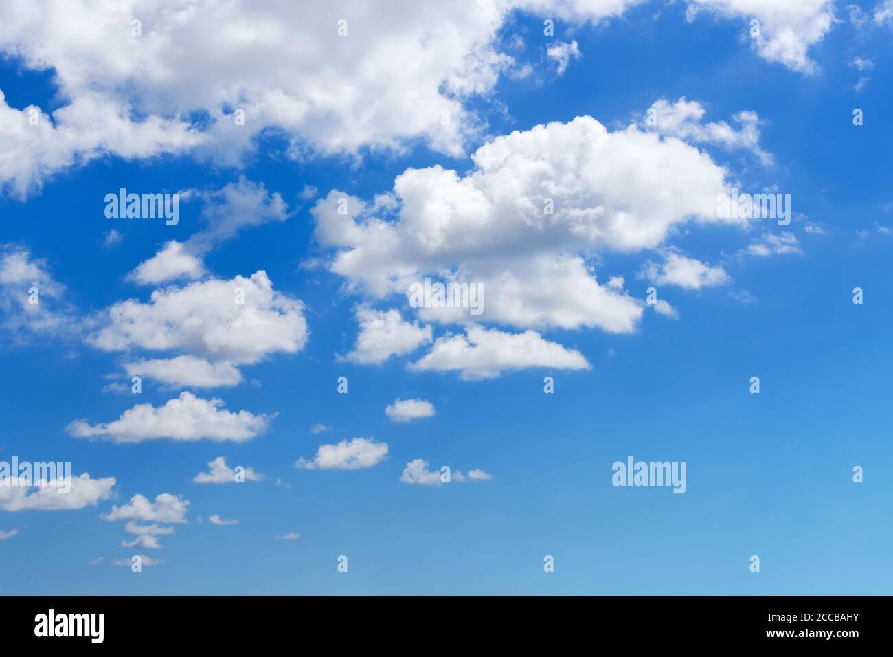 Weiße, flauschige Wolken schweben langsam hoch im strahlend blauen Sommerhimmel an einem Tag. Schönes sonniges Wetter, Badeurlaub und Sommerurlaub. Schöner Himmel Stockfoto