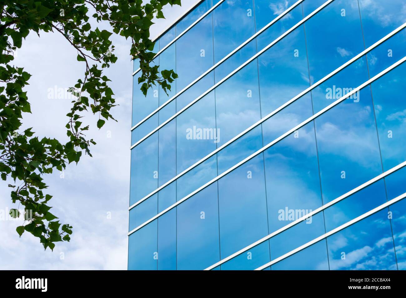 Außenansicht der typischen blauen Glasfassade eines modernen Bürogebäudes. Grüne Baumblätter. Spiegelung des Himmels. Stockfoto