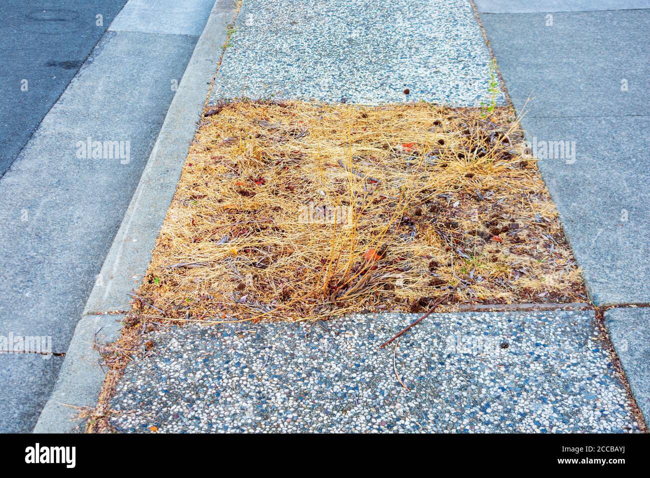 Vernachlässigte Landfläche zwischen Straße und Bürgersteig. Schlecht geführte Gehsteige mit Trockenrasen. Stockfoto