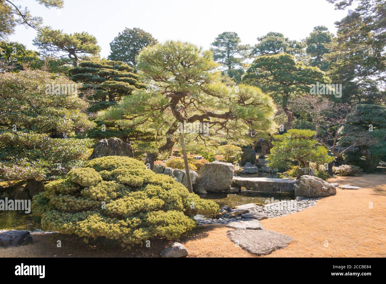Kyoto, Japan - Kaiserpalast Kyoto (Kyoto Gosho) in Kyoto, Japan. Ein ehemaliger Herrscherpalast des Kaisers von Japan. Stockfoto