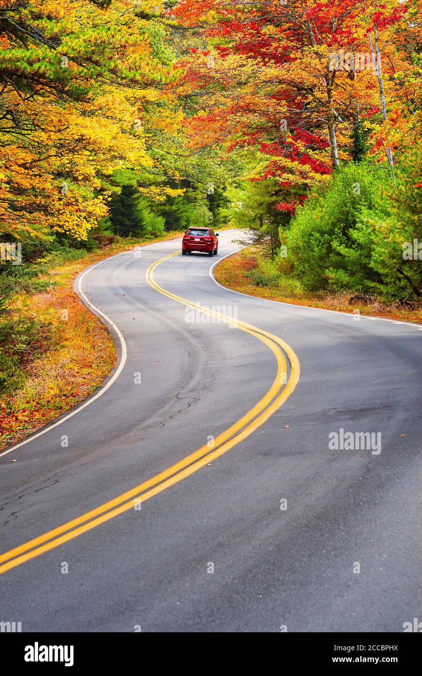 Ein rotes Auto fahren durch kurvenreiche Straße mit schönen Herbst Laub Bäume in New England. Stockfoto