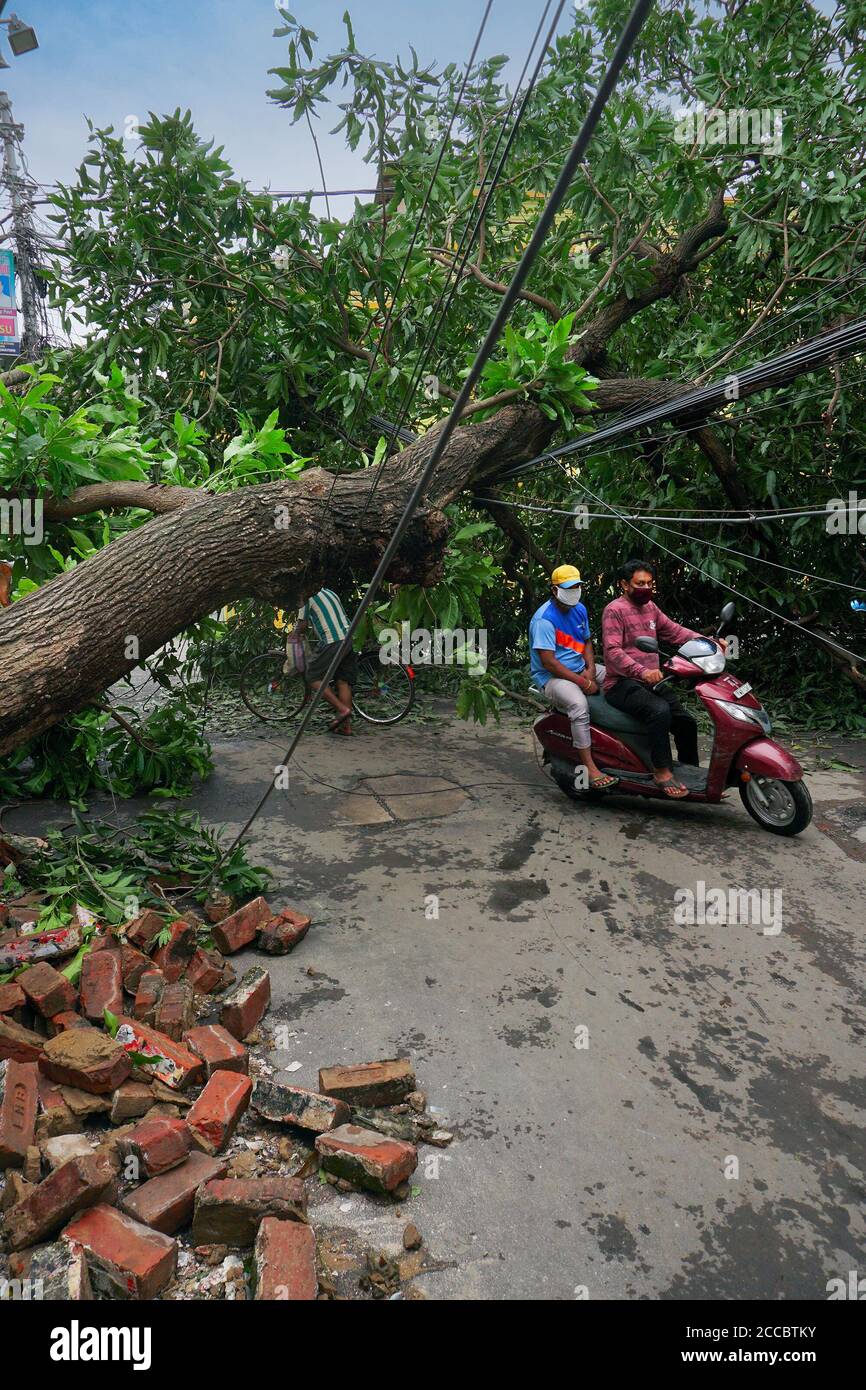 Howrah, West Bengal, Indien - 21. Mai 2020 : Super Zyklon Amphan entwurzelter Baum, der fiel und blockierte Straße. Bürger, die gefährlich durch die Stadt gehen. Stockfoto
