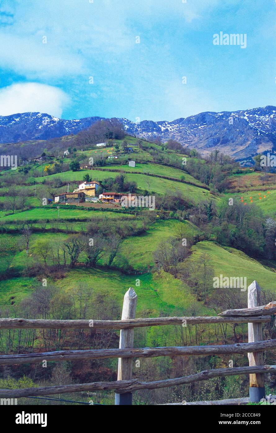 Blickpunkt. Monte Gamonal, Asturien, Spanien. Stockfoto