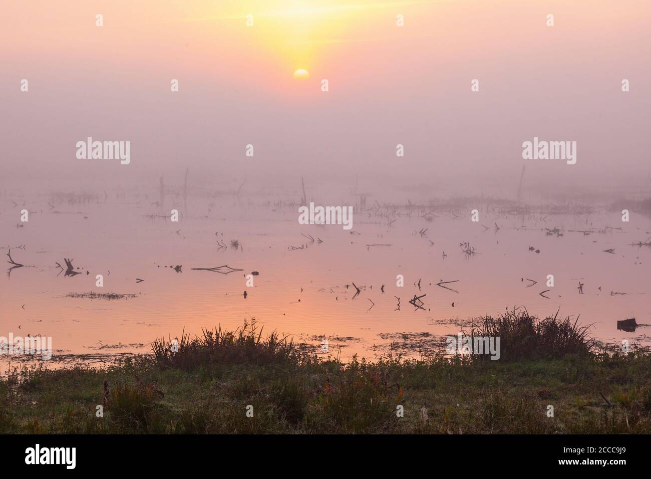 Sonnenaufgang im Morgengrauen Nebel auf dem See Stockfoto