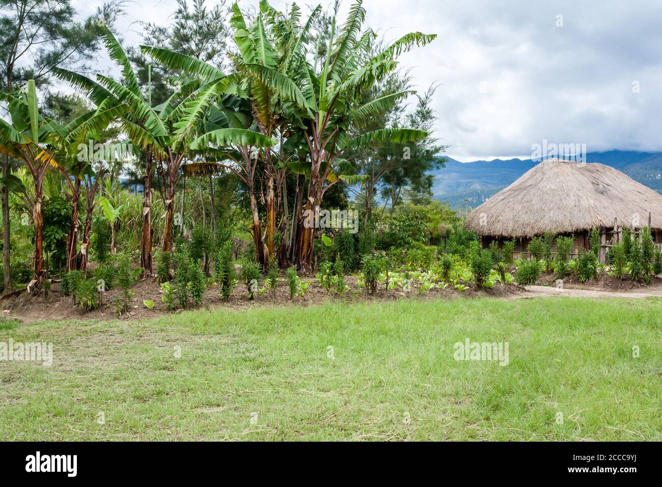 Traditionelles Dorf Dani in Papua-Neuguinea, Wamena, Indonesien. Stockfoto