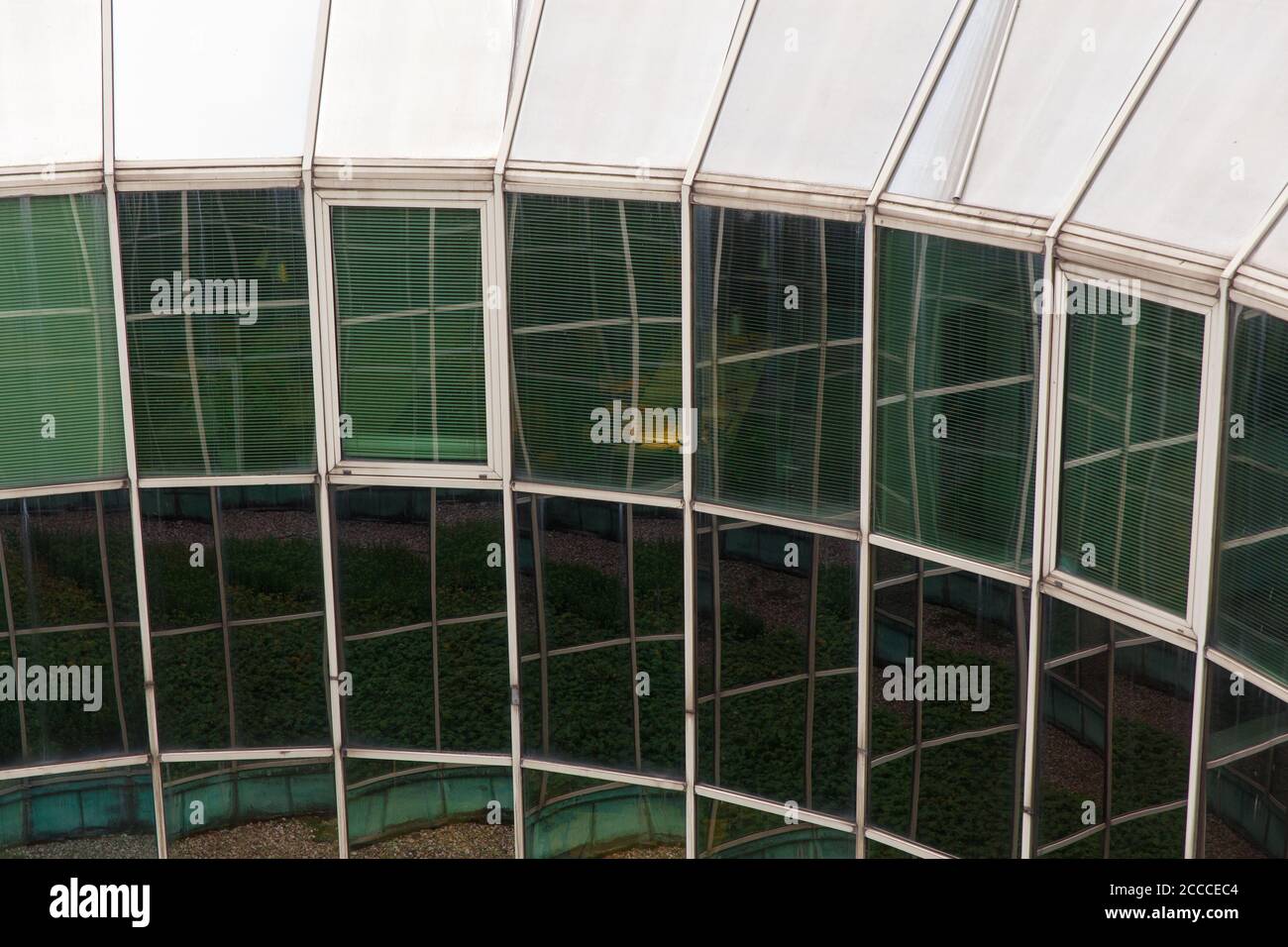 Abgerundete industrielle Gebäudewand mit StadtfensterhintergrundZahlreiche Reflexionen des Hofes mit Landschaftsgestaltung schaffen ein skurrile Muster. Stockfoto