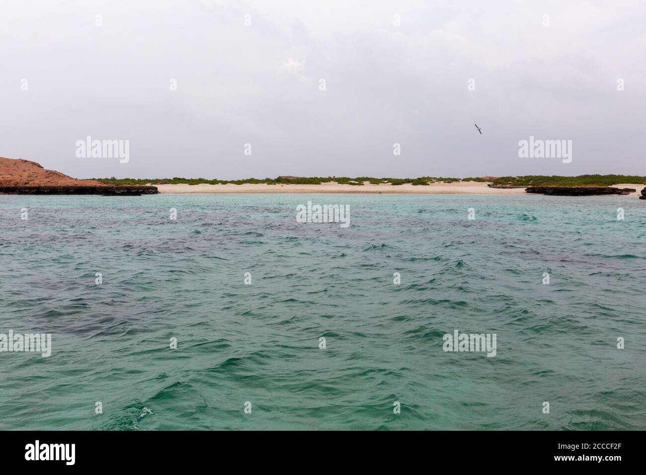 Daymaniyat Islands Nature Reserve, Oman Stockfoto