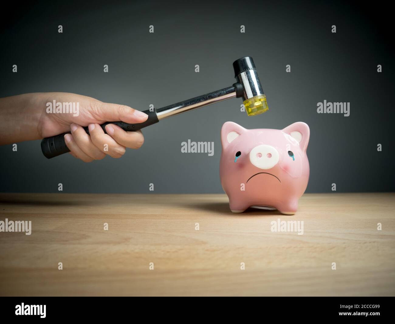Sparschwein, Ersparnisse, Investitionen, Währungskonzept: EINE Hand mit einem Hammer, der über einem rosa traurig Sparschwein angehoben wird, mit einem schockiert Stockfoto