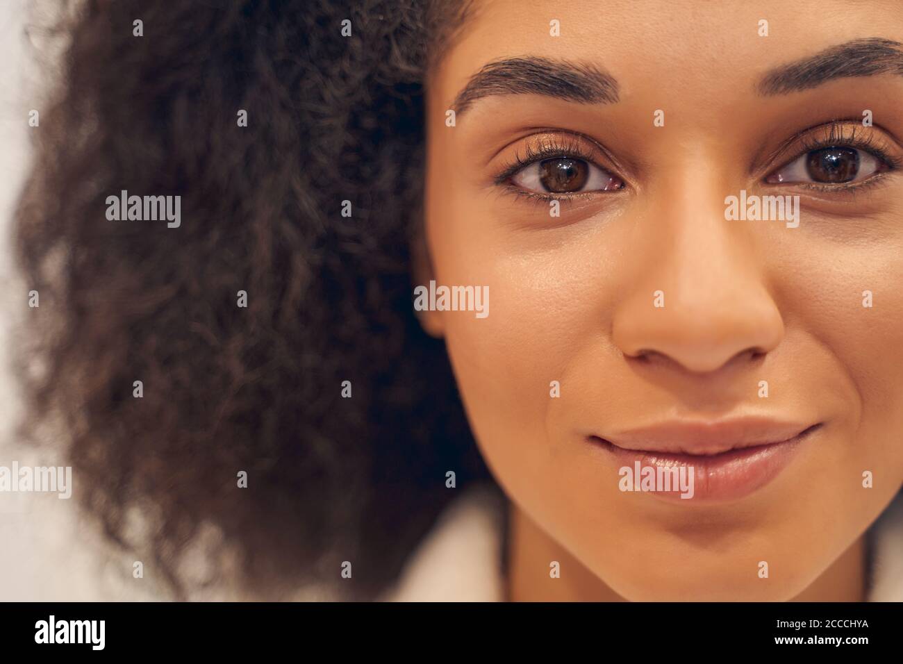 Bewundernswerte junge afroamerikanische Frau, die sich ruhig fühlt Stockfoto