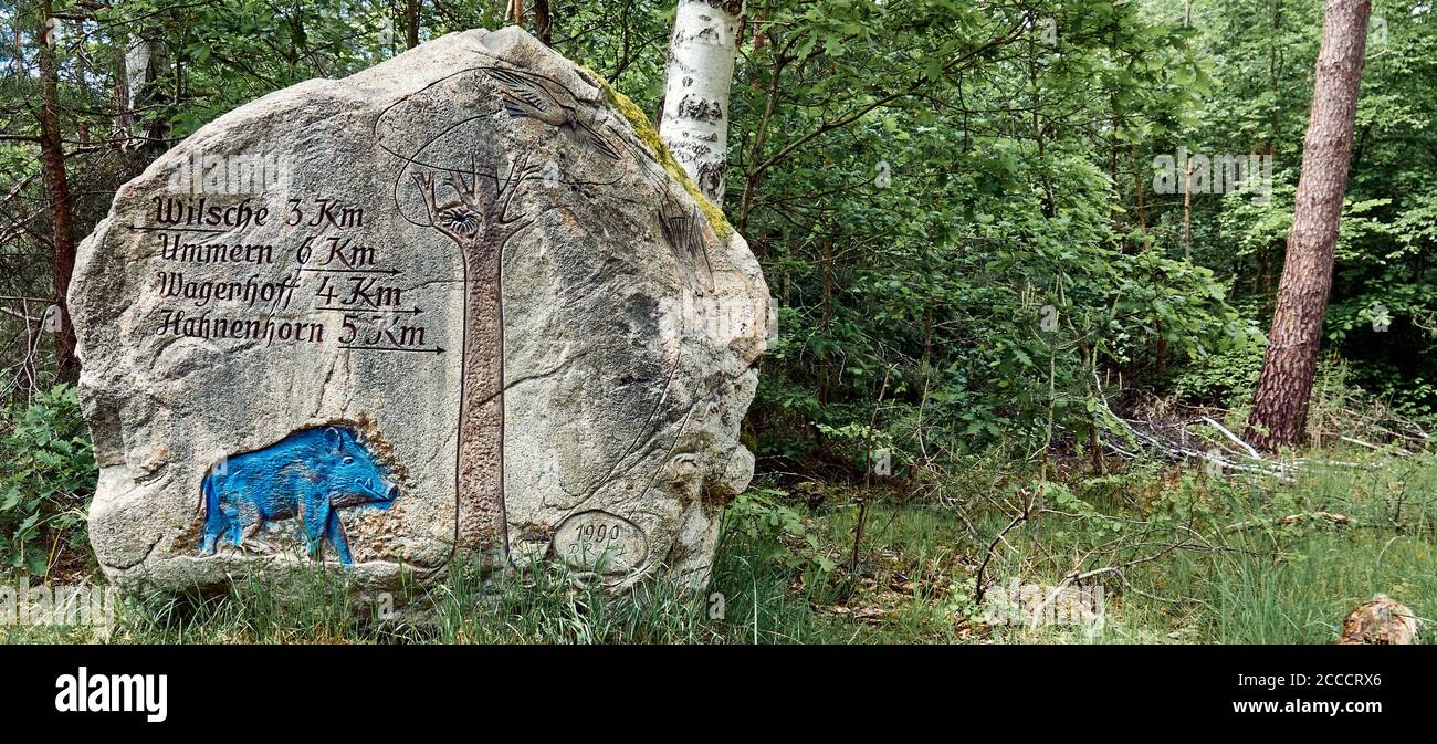 Gifhorn, 24. Mai 2020: Kunstvoll in einen erratischen Block für Wanderer im Wald gehauene Wegweiser mit blauem Wildschwein Stockfoto