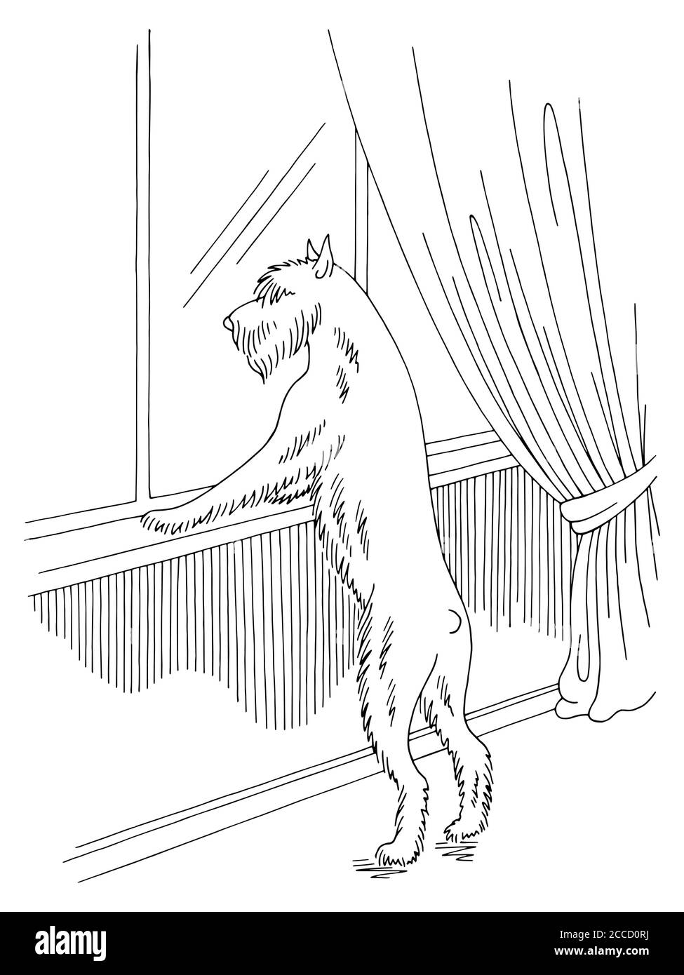 Hund schnauzer wartet auf Besitzer Blick aus dem Fenster Grafik Schwarz-weiße Skizzendarstellung Vektor Stock Vektor