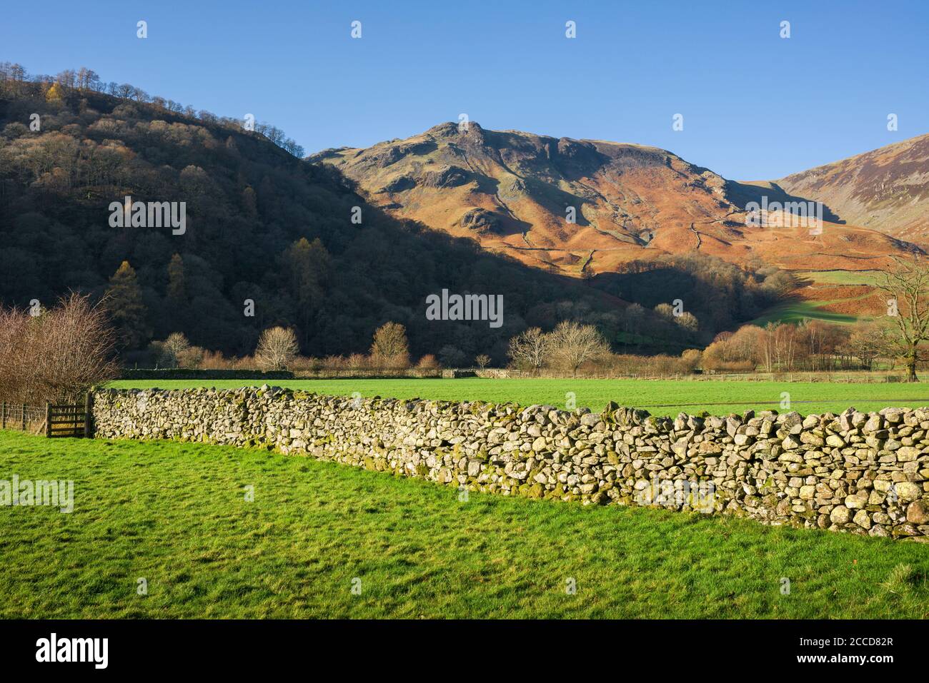 High Doat und High Scawdel aus dem Borrowdale Valley bei Rosshwaite im Lake District National Park, Cumbria, England. Stockfoto