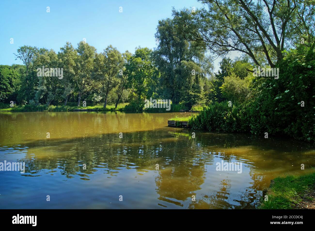 Großbritannien, South Yorkshire, Barnsley, Dearne Valley Country Park, Anglers Pond Stockfoto