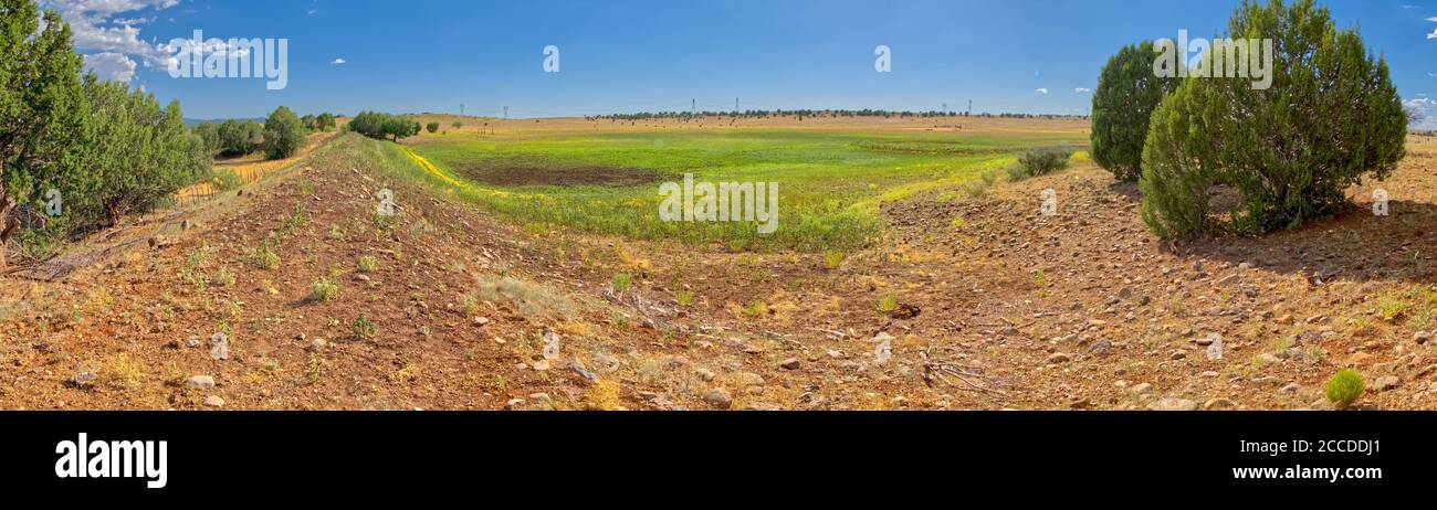 Der trockene Boden des King Springs Cattle Tank in der Nähe von Drake Arizona. Es liegt an der Fire Road 182 südlich von FSR492 im Prescott National Forest. Stockfoto