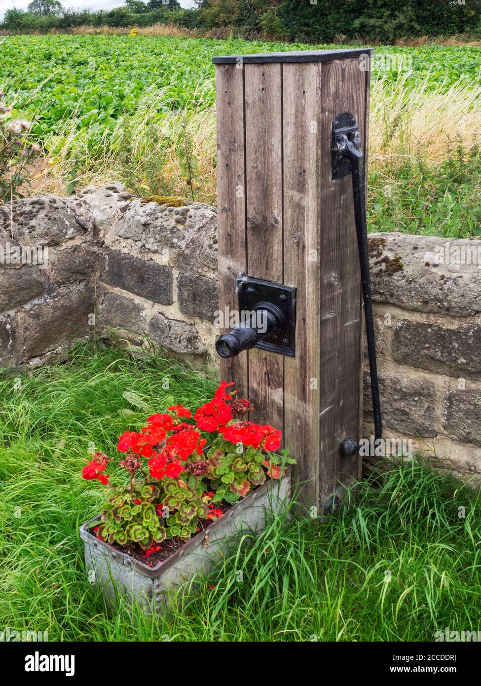 Eine alte Wasserpumpe mit Sommerblumenanzeige auf High Moor Lane in der Nähe von Brearton Harrogate North Yorkshire England Stockfoto