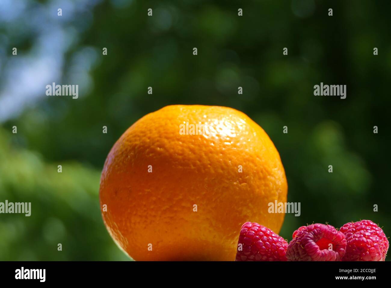 Saft Zutaten - Nahaufnahme reife Orange und Himbeeren auf ein Grüner Hintergrund Stockfoto