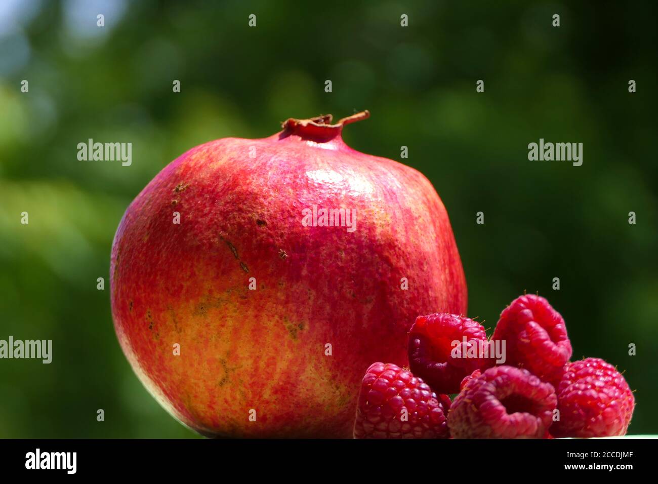 Nahaufnahme reifen sonnenbeschienenen Granatapfel und Himbeeren auf grünem Hintergrund Stockfoto