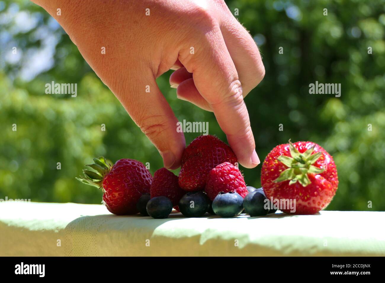 Nahaufnahme der Hand einer Person, die eine Erdbeere aus einem herausnimmt Gruppe von gemischten Beeren im Freien Stockfoto