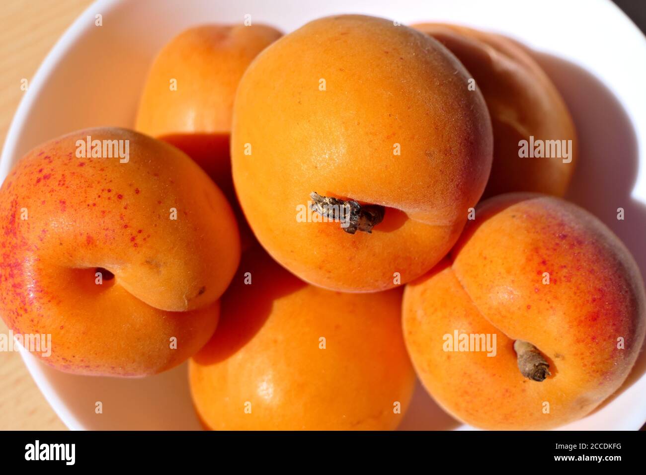 Closeup Gruppe von reifen frischen und sonnenbeschienenen Aprikosen in einem Weiße Schale Stockfoto