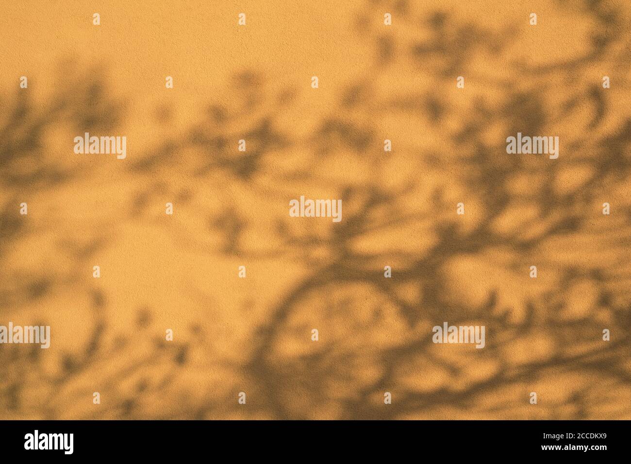 Schatten des Baumes mit Ästen und Blättern. Abstraktes Element mit gelber Farbe und zufällig verschwommenen Formen Stockfoto