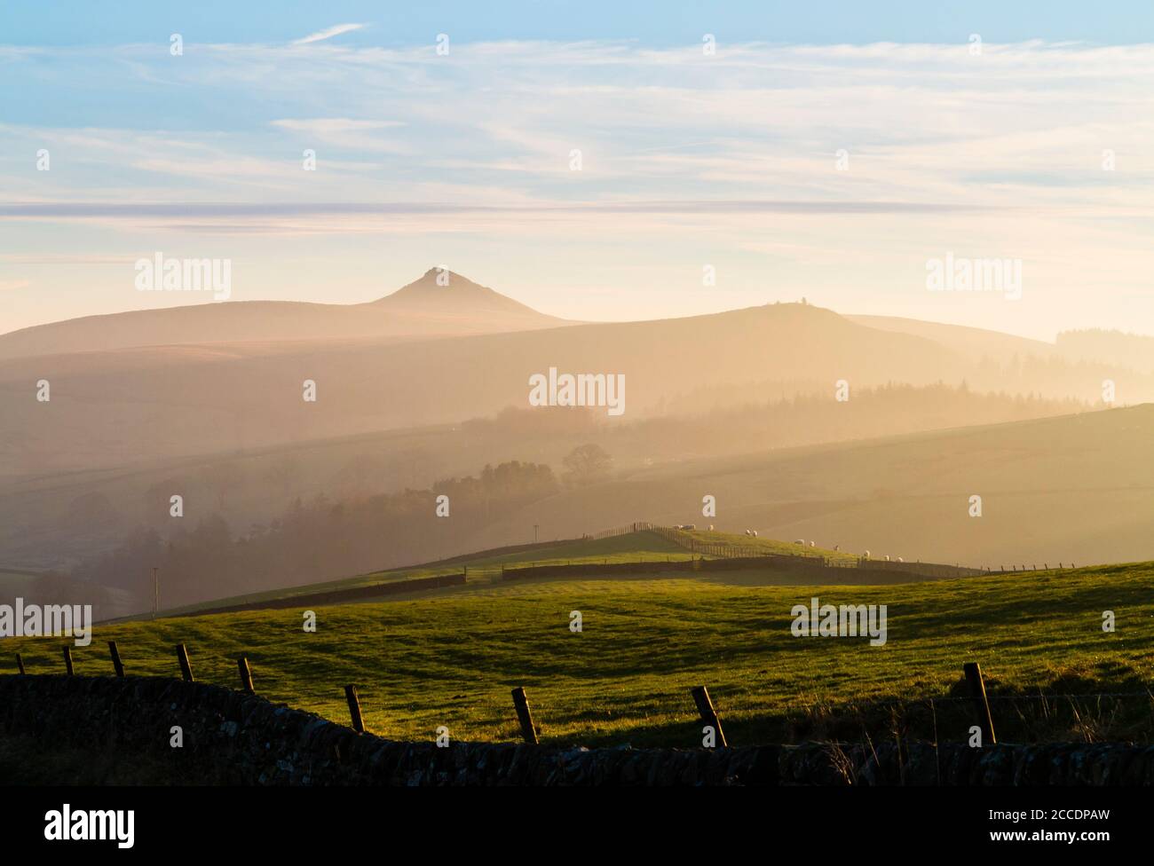 Landschaft bei Wildboarclough im Osten Cheshire Teil der Peak District mit dem Gipfel von Shutlingsloe in der Ferne England VEREINIGTES KÖNIGREICH Stockfoto