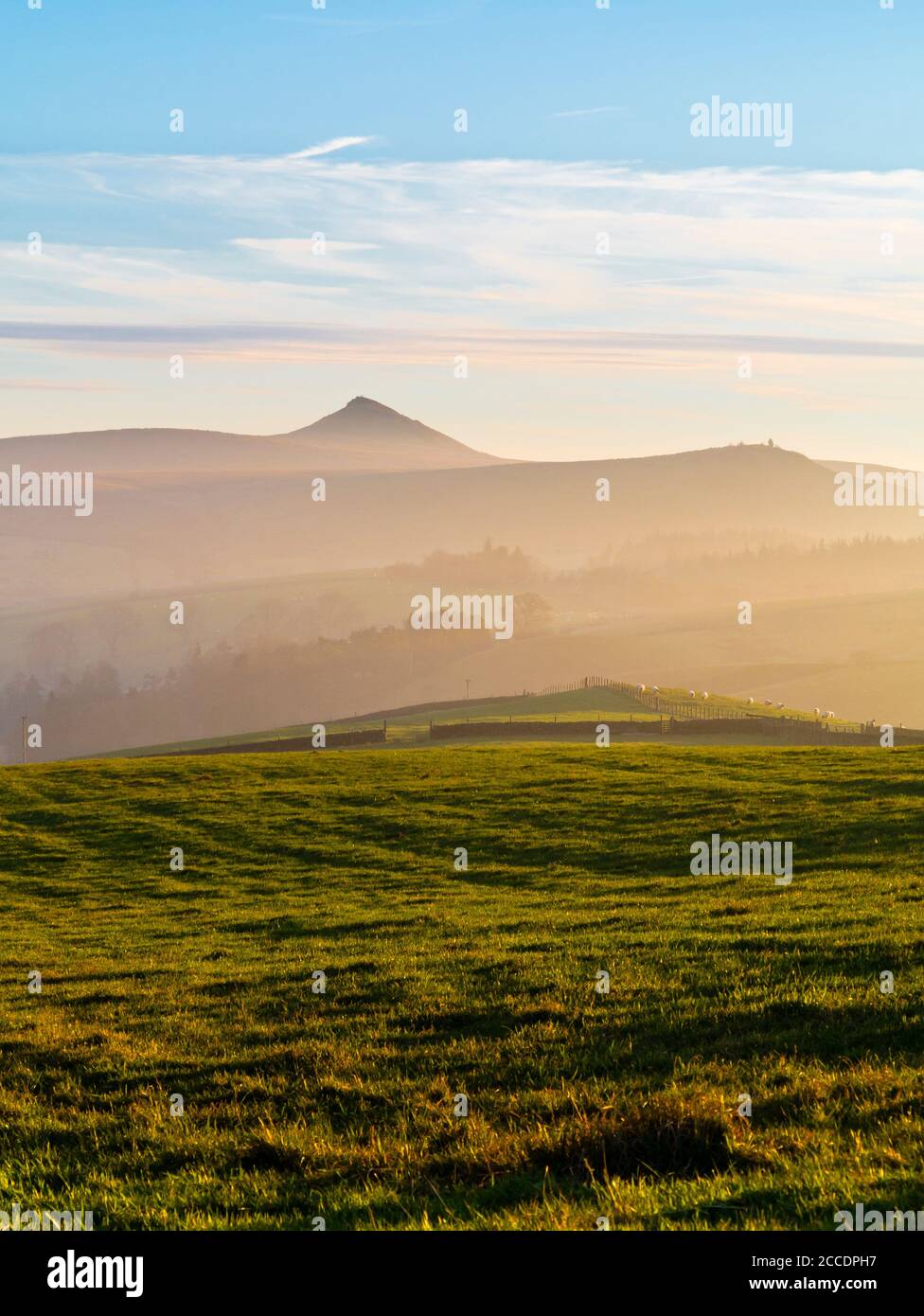 Landschaft bei Wildboarclough im Osten Cheshire Teil der Peak District mit dem Gipfel von Shutlingsloe in der Ferne England VEREINIGTES KÖNIGREICH Stockfoto