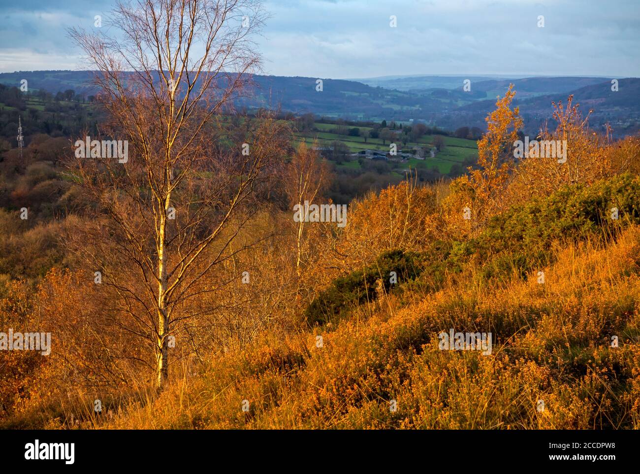 Herbstlandschaft auf einem Hügel oberhalb von Starkholmes bei Matlock in The Derbyshire Peak District England Großbritannien Stockfoto