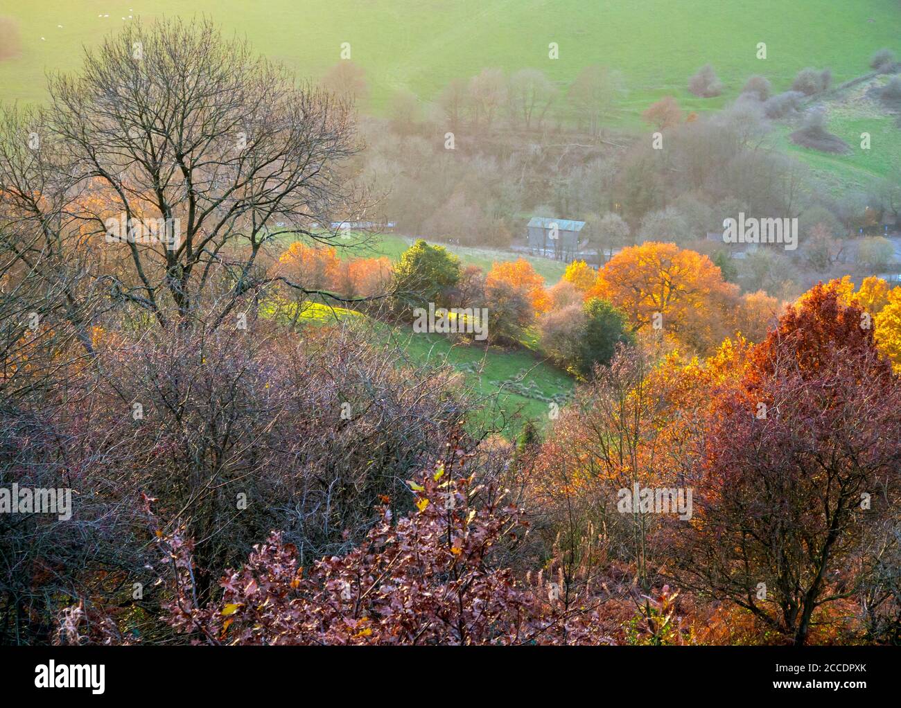 Herbstlandschaft auf einem Hügel oberhalb von Starkholmes bei Matlock in The Derbyshire Peak District England Großbritannien Stockfoto