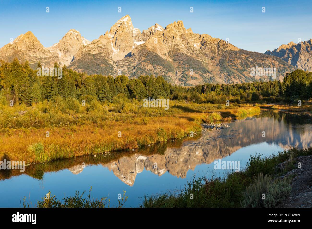 Die Tetonberge spiegeln sich im Wasser der Schlange Fluss bei Schwabacher Landing im Grand Teton National Park Stockfoto