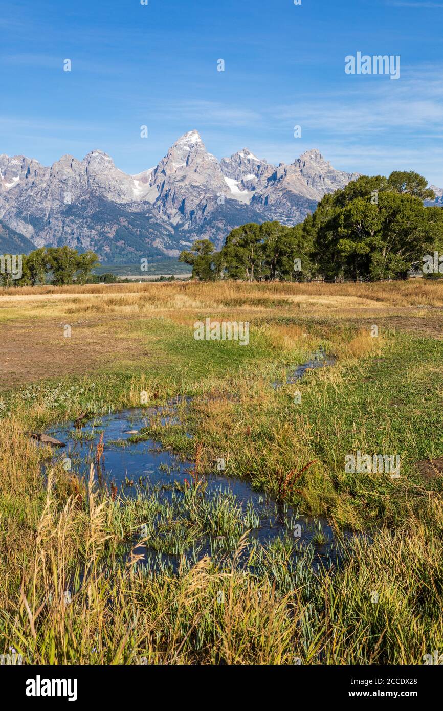 Vertikales Foto - Wasser aus einem kleinen Bach führt quer Die Wiese in Richtung Teton Berge im Grand Teton National Parken Stockfoto