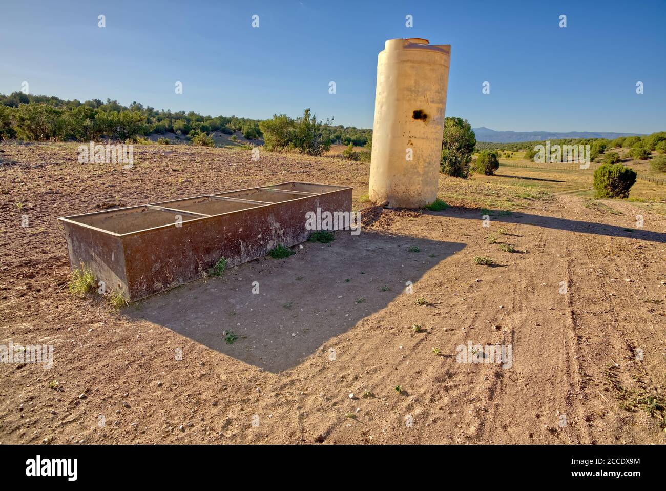 Ein hoher Wasserspeicher für einen Wassertrog am Staudamm Cattle Tank Corral. Da der Viehteich trocken ist, wird dieser Tank von den Ranchern zum Bewässern verwendet Stockfoto