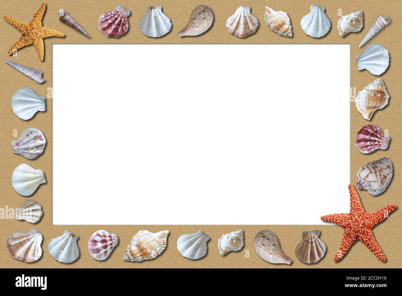 Sandstrand Sommer Hintergrund mit umrahmten Muscheln und weißen Kopie Raum. Stockfoto